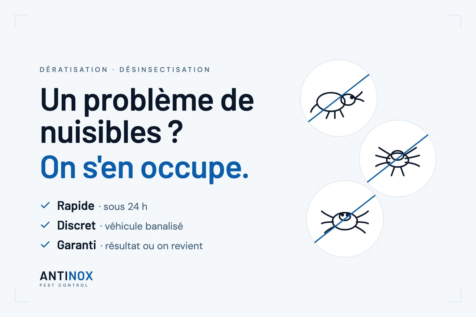 Antinox: a pest problem? We handle it. Fast, within 24 hours. Discreet, unmarked vehicle. Guaranteed, results or we come back.