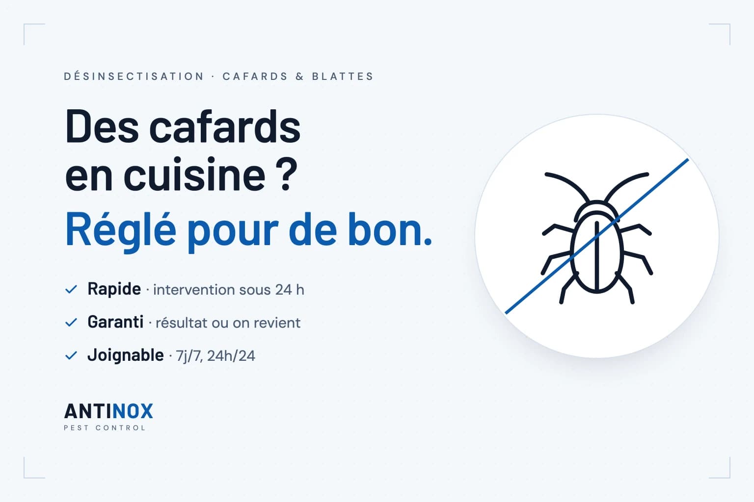 Antinox : des cafards en cuisine ? Réglé pour de bon. Rapide, intervention sous 24 h. Garanti, résultat ou on revient. Joignable 7j/7, 24h/24.